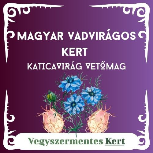 Magyar Vadvirágos Kert - Katicavirág / Borzaskata vetőmag - 50g