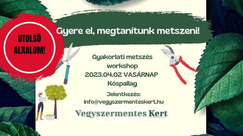 Gyakorlati metszés workshop - Börzsöny - Kóspallag - 2023. ÁPRILIS 2., VASÁRNAP, 10:00–15:00