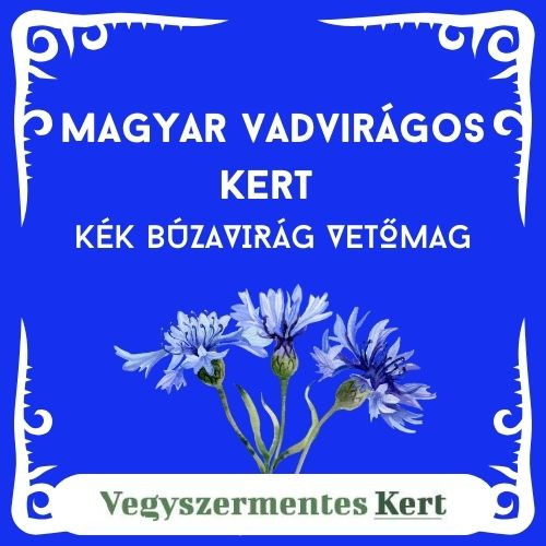 Magyar Vadvirágos Kert - Kék búzavirág vetőmag (Centaurea cyanus) 2 g 