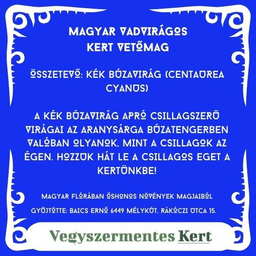 Magyar Vadvirágos Kert - Kék búzavirág vetőmag - 2 g 