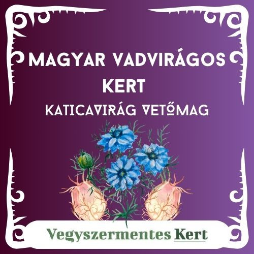Magyar Vadvirágos Kert - Katicavirág / Borzaskata (Nigella arvensis) vetőmag - 2 g 