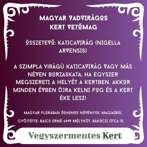 Magyar Vadvirágos Kert - Katicavirág / Borzaskata vetőmag - 2 g 