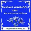 Magyar Vadvirágos Kert - Kék búzavirág vetőmag (Centaurea cyanus) 5 g 