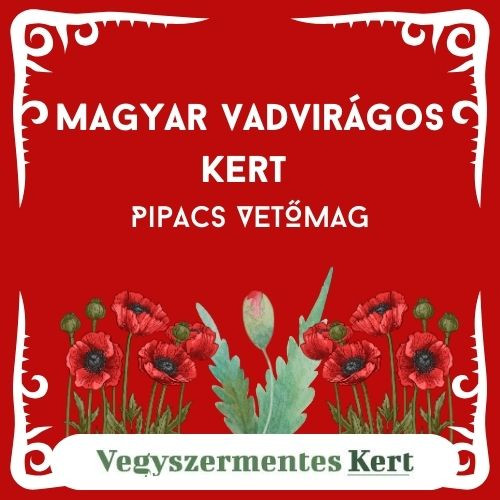Magyar Vadvirágos Kert - Közönséges pipacs vetőmag - 20g