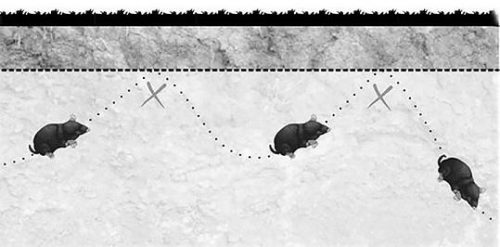 Vakondháló - erős anyagú, könnyebben fektethető - PP2 - Szélesség 2 méter - 200m2