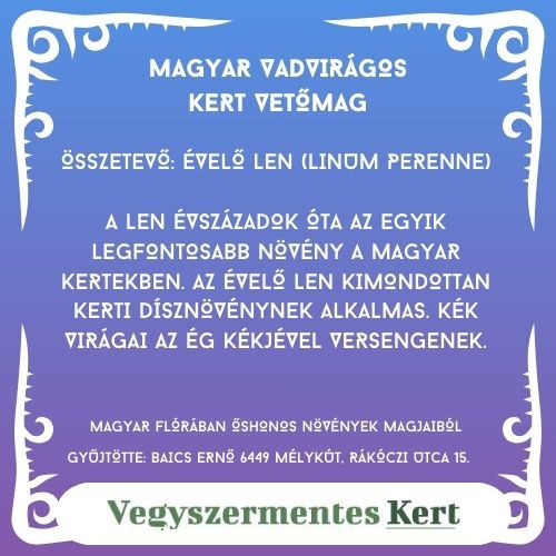 Magyar Vadvirágos Kert - Évelő len vetőmag - 20g