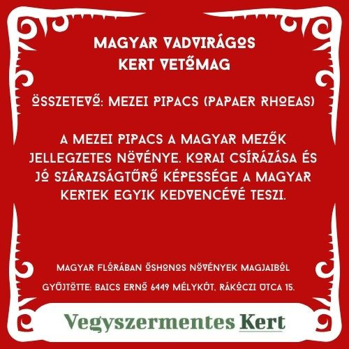 Magyar Vadvirágos Kert - Közönséges pipacs vetőmag - 50g